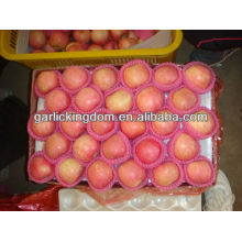 China rojo precio fresco manzana fuji